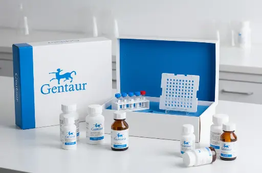 [0039-39-CD99-250] CD99 Clone TU12, Isotype IgG2a, 250nm magnetic beads